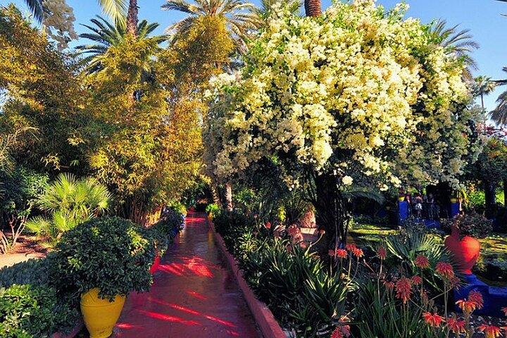 Majorelle Garden Tour with Ticket & Pickup – Smooth, Hassle-Free.
