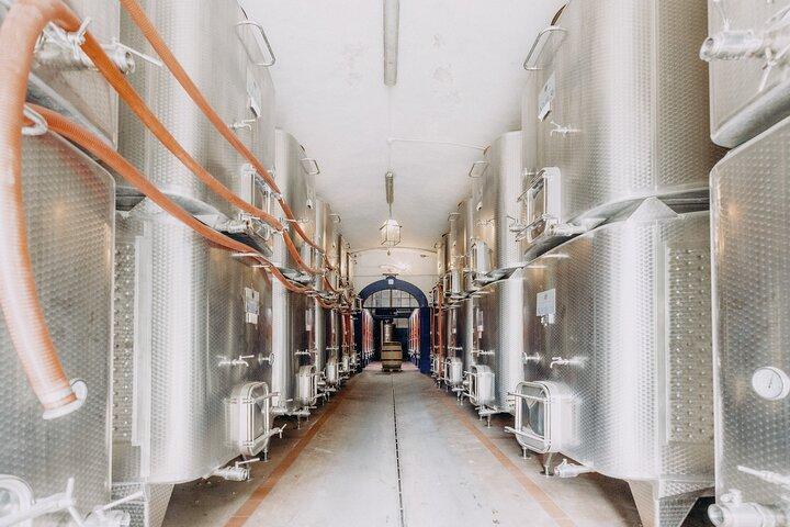 Private Chianti Safari: Off Road Tuscany Wine Tour with Lunch from Florence