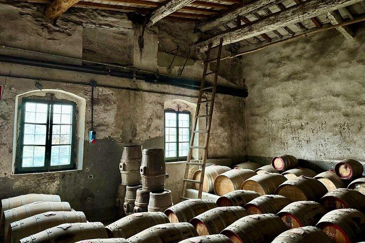 Private Chianti Safari: Off Road Tuscany Wine Tour with Lunch from Florence