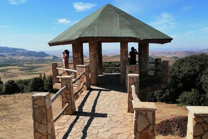 Middle Atlas Mountains, Cedar Forest and Azrou Day Trip from Fez