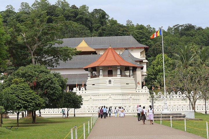 12-Day Private Guided Tour in Sri Lanka