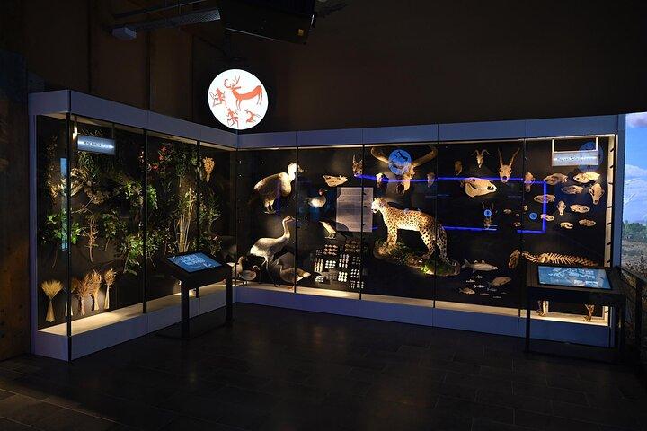 Çatalhöyük Archaeological Excavation Site and Virtual Museum