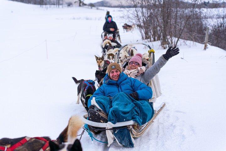 Ultimate Dog Sledding Tour - Day trip from Ottawa & Gatineau