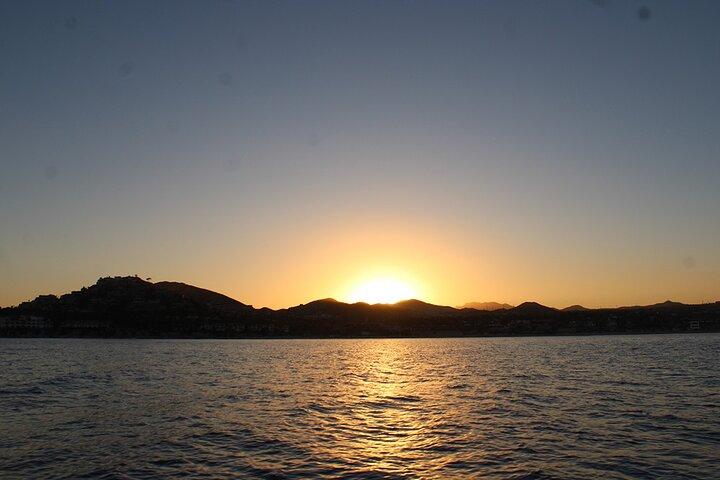 Sunset Whale Watching in San Jose del Cabo