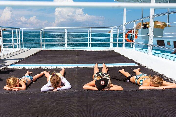 Flamingo Family Fun Catamaran Snorkel:Comfortable shaded seating