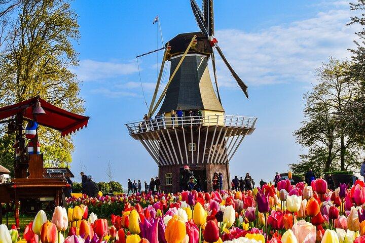 Private Tour Keukenhof Gardens + Tulperij Tulip Experience