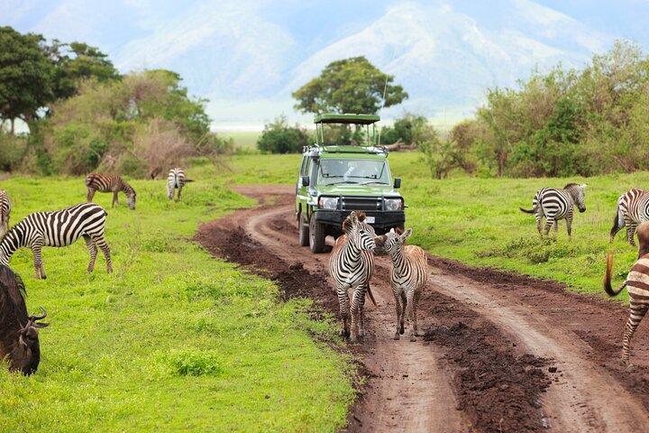 7 Days Safari Tour to Northern Tanzania National Parks