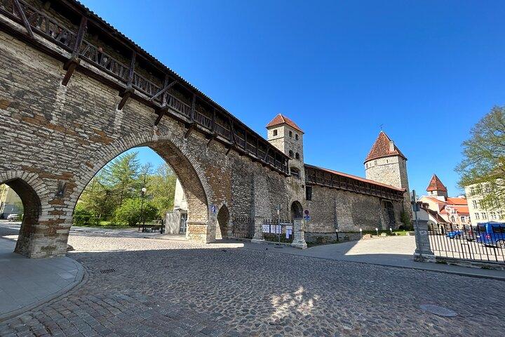Group walking tour in Tallinn Old Town