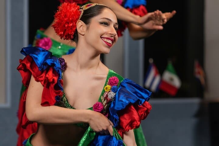 Bosphorus Dinner Cruise & Turkish Dance Shows with Private Table