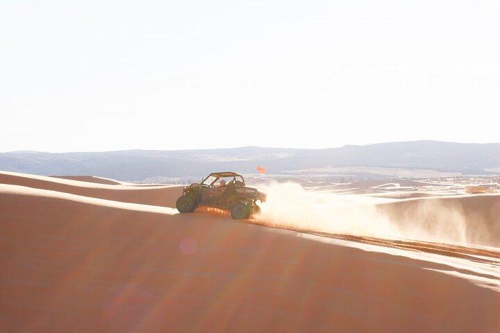 UTV Dune Cruise and Surf at Coral Pink Sand Dunes