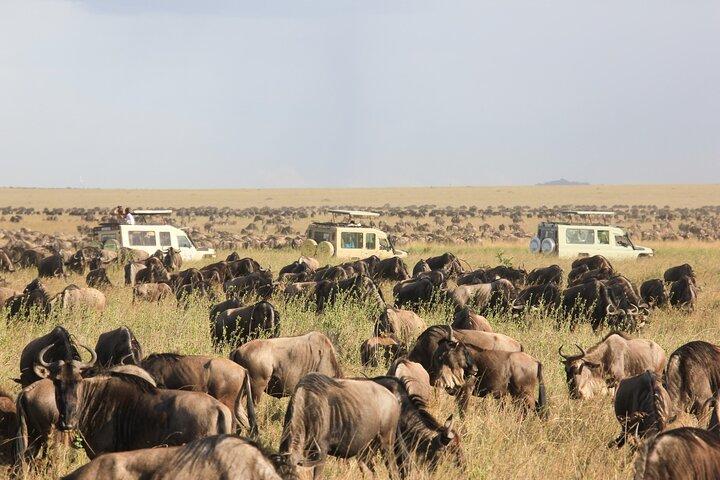 7 Days Safari Tour to Northern Tanzania National Parks