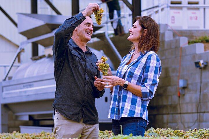 All Inclusive Temecula Wine Tour - Tastings, Lunch, Hotel Pickup