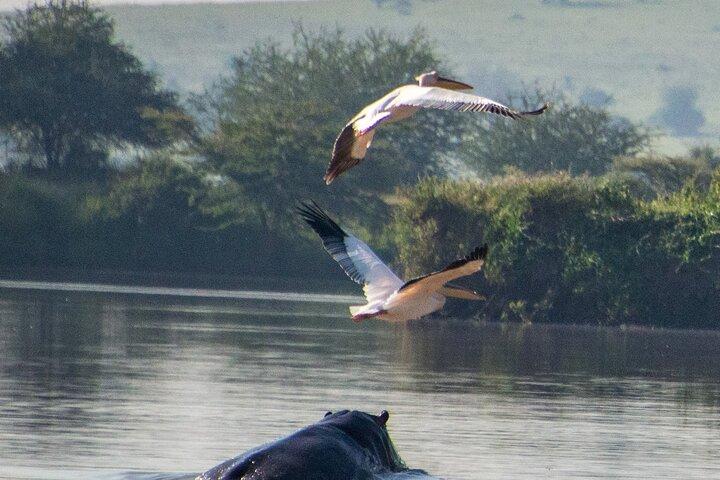 Lake Naivasha and Hells Gate Day trip daily