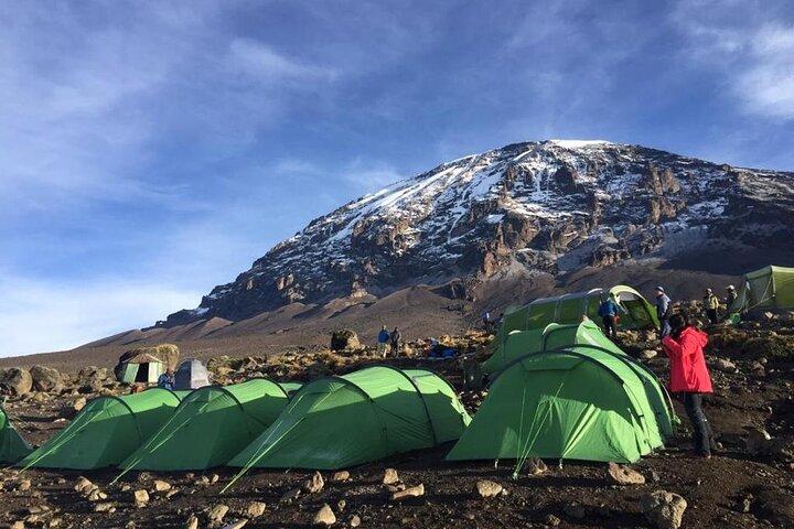 12 Days Tanzania Trip Kilimanjaro Lemosho Trek and Safari Combo