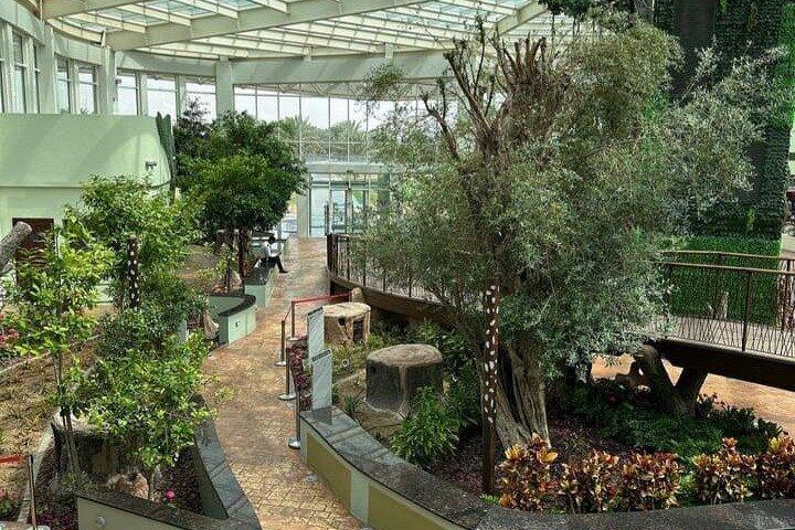 Quranic Park & Jumeirah Mosque With Transfer