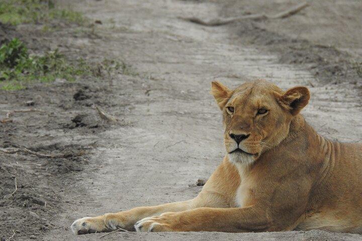 3 Days lodge Safari to Tarangire, Lake Manyara and Ngorongoro