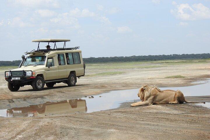 3 Days lodge Safari to Tarangire, Lake Manyara and Ngorongoro