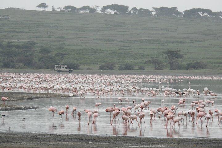 Private 5 Days Camping Tour in Serengeti National Park