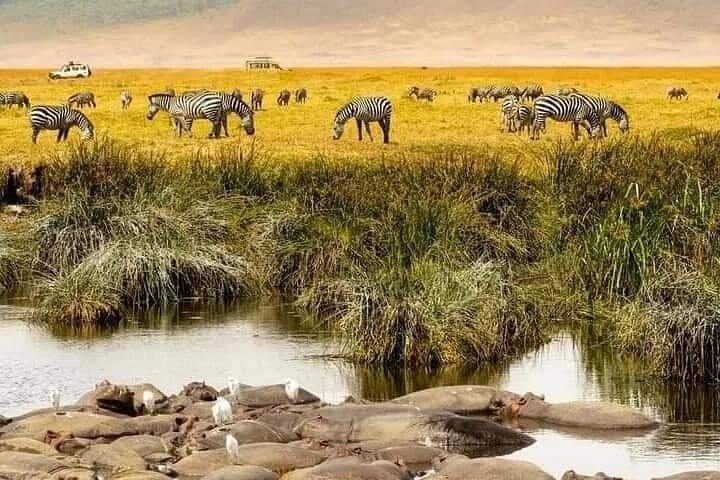 12 Days Private Safari in Tanzania with a Zanzibar Beach Getaway