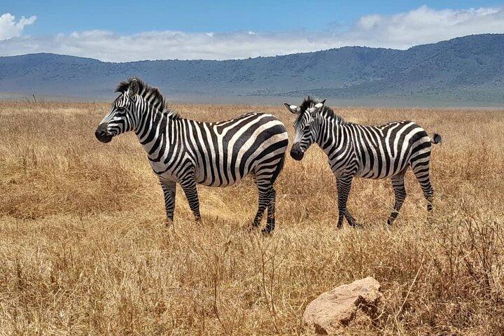 4 Days Private Safari to Serengeti and Ngorongoro