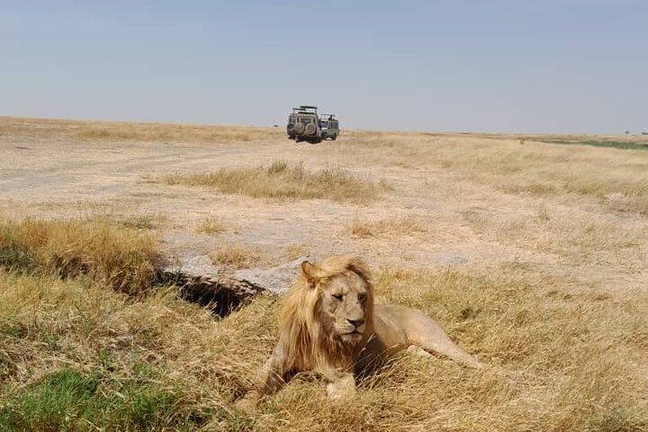 4 Days Private Safari to Serengeti and Ngorongoro