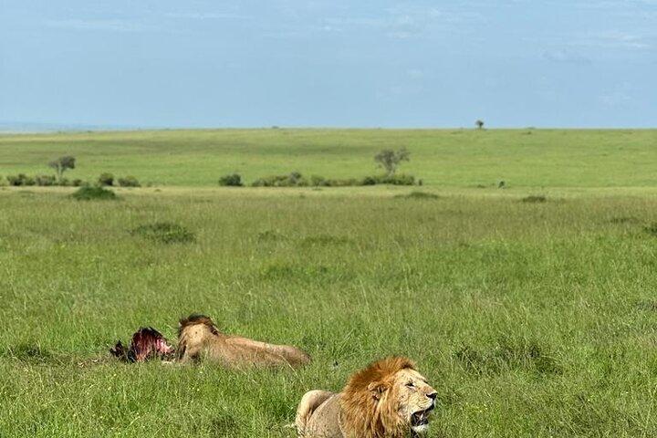 3 Days 2 Nights Masai Mara Road Transport Safari
