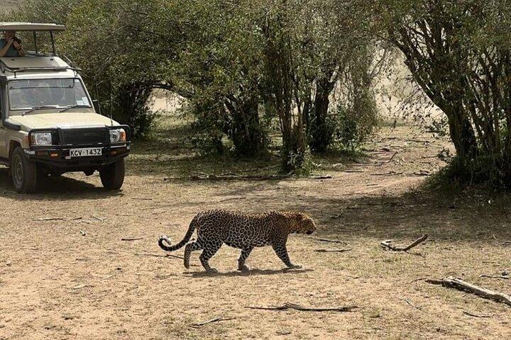 3 Days 2 Nights Masai Mara Road Transport Safari