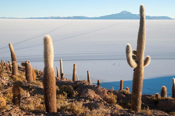 Uyuni Salt Flats Full Day Tour with Sunset