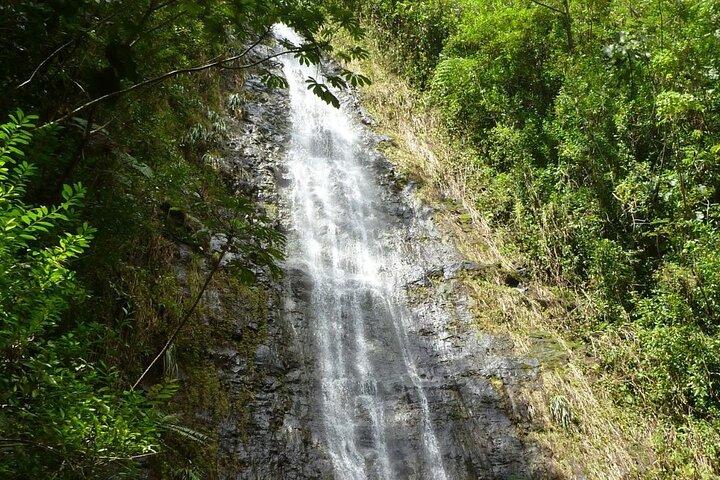 Diamond Head and Manoa Falls Hike and Adventure Tour