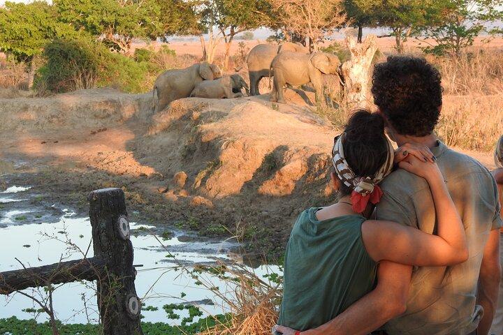 6 Days Private Safari with Mid-range Lodges or Camps