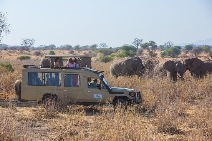 6 Days Private Safari Tarangire, Serengeti, and Ngorongoro crater