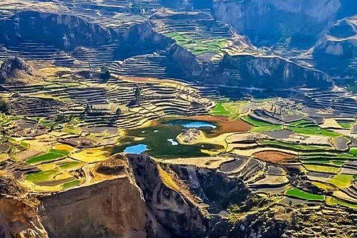 Full Day Tour to Colca including Transfer to Puno