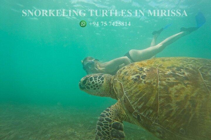 Snorkeling with Turtles in Mirissa