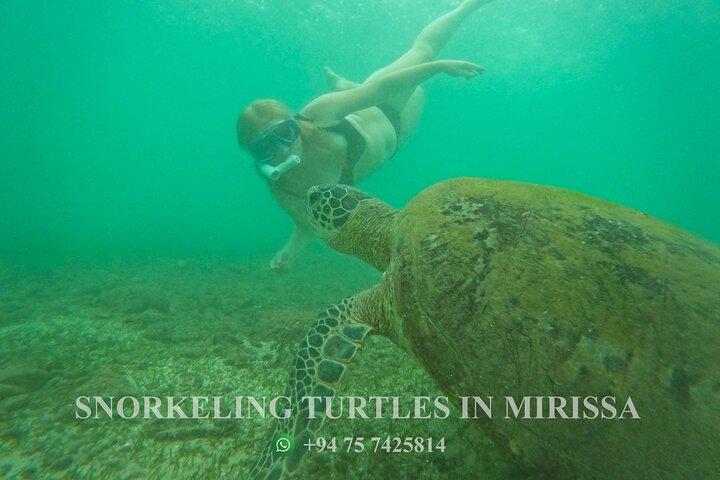 Snorkeling with Turtles in Mirissa