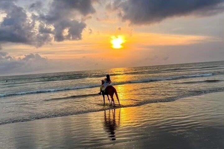 Seminyak Bali Horse Back Riding private experiance
