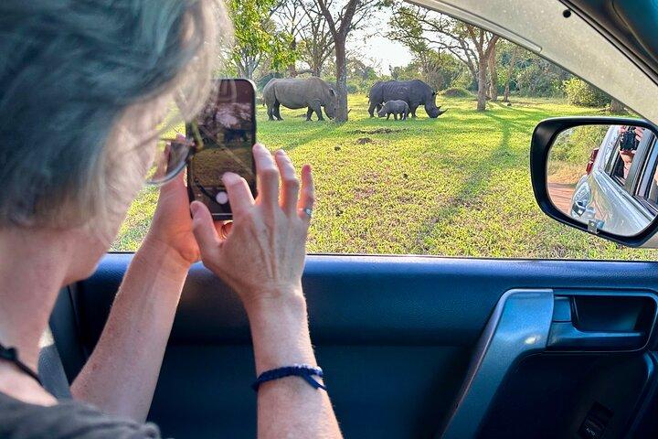 1 Day Budget Rhino Trekking at Ziwa Rhino Sanctuary