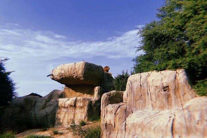 Dubai Safari Park with Pick up and Drop off
