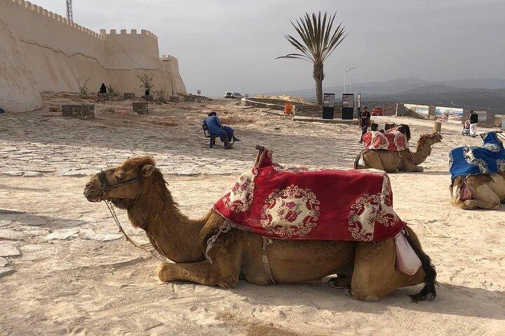 Agadir City Tour - Half Day