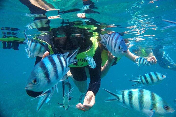 Speed Boat Private Sunset Snorkeling and sightseeing from Samui