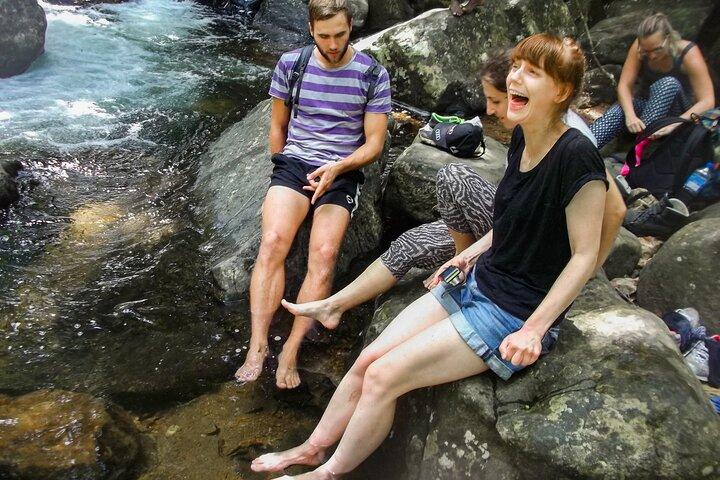Sinharaja Rainforest Private Half Day Tour with Licensed Guide