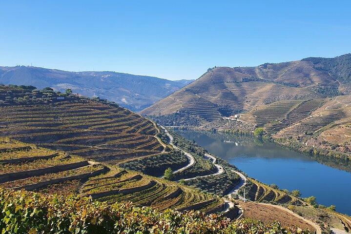 Douro Valley Tour: Wine Tasting River Cruise and Lunch from Porto