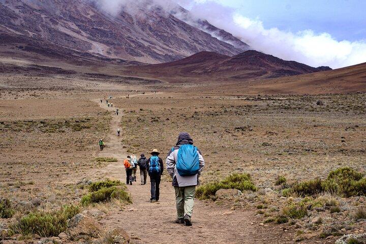 6 days Kilimanjaro Mountain Trekking - Marangu Route