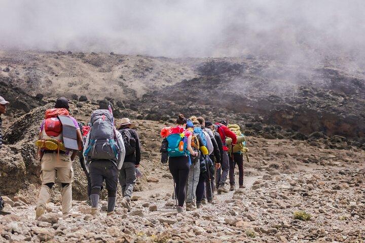 7 Days Kilimanjaro Mountain Hiking with Professional Guide