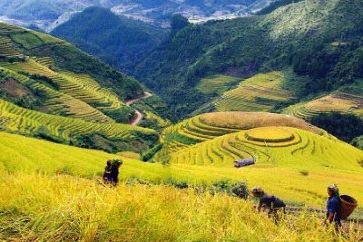 Sapa 3 Days and 2 Nights Tour