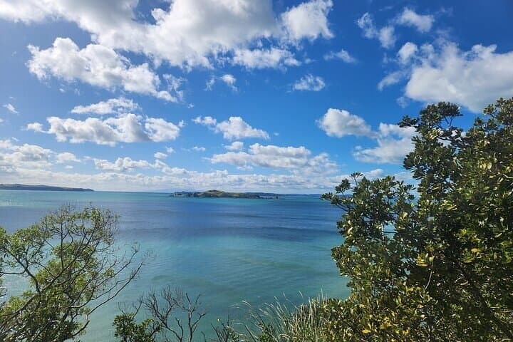 Private Auckland Best Top 5 Spots Half day Tour