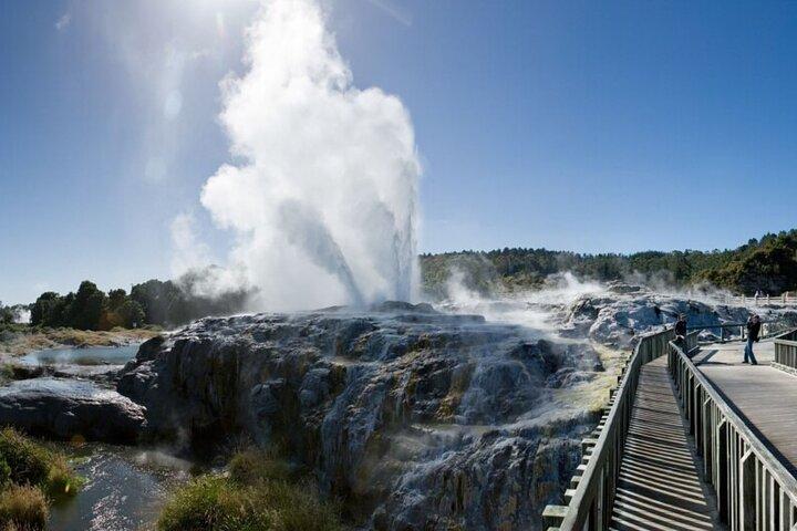 Rotorua Day Trip from Auckland TePuia_Hot Pool-Tub_Redwood Forest