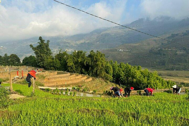 From Hà Nội ; Mu Cang Chai 3 Days 2 Nights By Car and Trekking