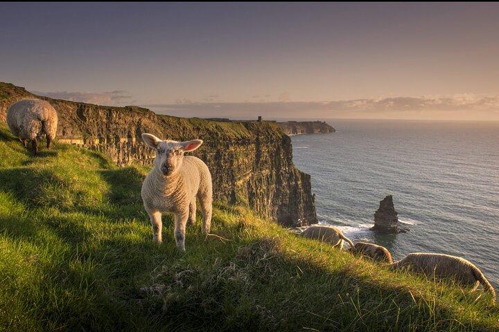 Dublin to Cliffs of Moher, Ennis and Historic Limerick Day Tour