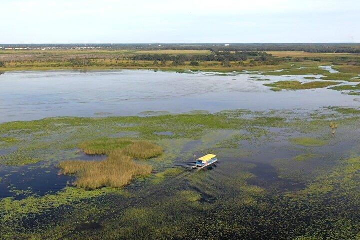 90 Minute Florida Everglades Wildlife Boat Tour