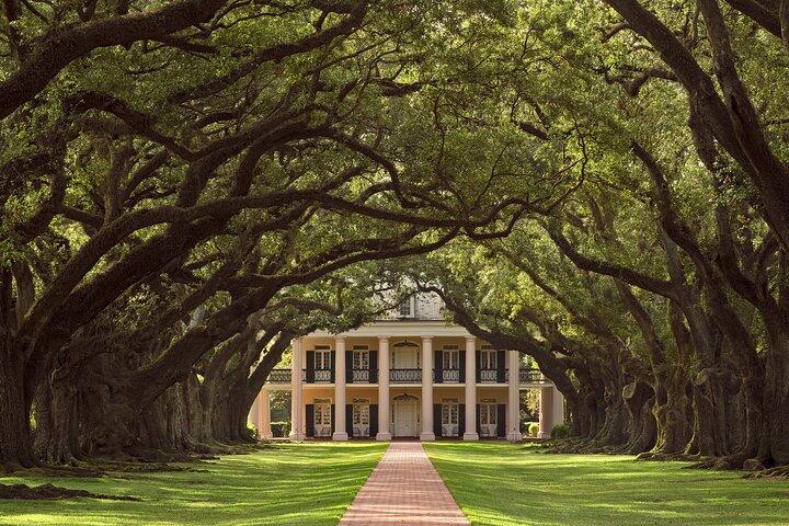 Full Day Plantation and Swamp Tour in New Orleans